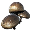 Aggeravic Mushroom