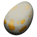 Archaeopteryx Egg