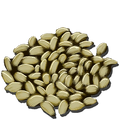 Citronal Seed