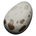 Dodo Egg