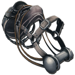 Giganotosaurus Saddle