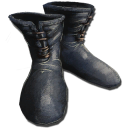 Hide Boots