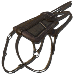 Ichthyosaurus Saddle