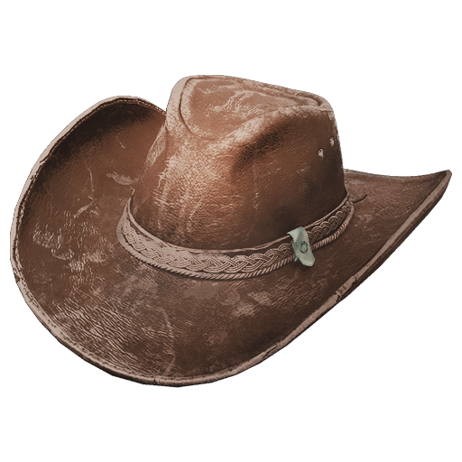 Outlaw Hat Skin