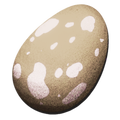 Pegomastax Egg