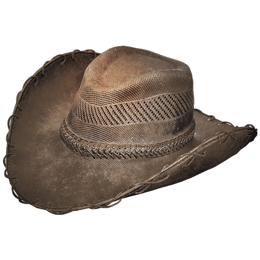 Rancher Hat Skin