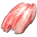 Raw Fish Meat