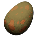 Yutyrannus Egg
