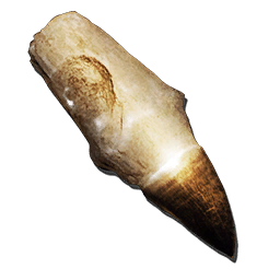 Alpha Mosa Tooth