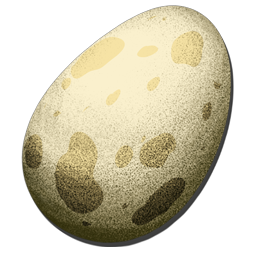 Carbonemys Egg