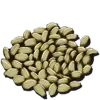 Citronal Seed