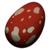 Fertilized Rex Egg