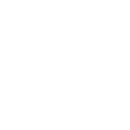 Gingerbread House Skin