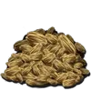 Rockarrot Seed
