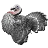 Turkey Hat Skin