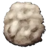 Wool